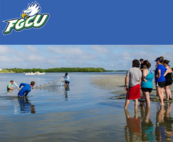 Cape Coral summer camps